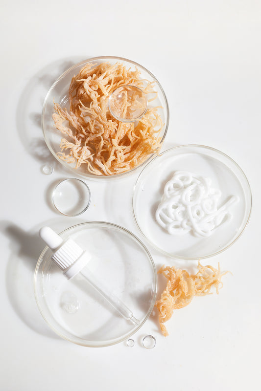 How Is Sea Moss Good For Skin With Eczema?